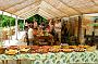 1179 Camping Podere Sei Poorte